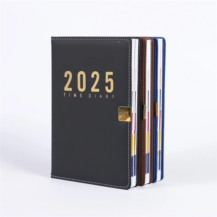 Daily Planner 2025